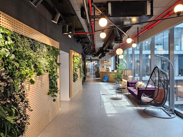 מבט כללי של המשרד- מסדרון