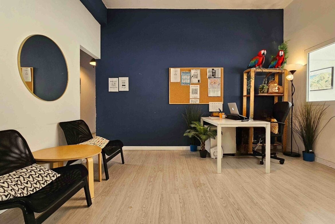 משרד מודרני עם קיר בצבע כחול כהה, שולחן, מחשב נייד, שני תוכים על מדף, לוח שעם, מראה עגולה, פינת ישיבה ועציצים — חלל עבודה מרווח בגודל 250 מ"ר במחיר משתלם.