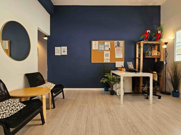 משרד מודרני עם קיר בצבע כחול כהה, שולחן, מחשב נייד, שני תוכים על מדף, לוח שעם, מראה עגולה, פינת ישיבה ועציצים — חלל עבודה מרווח בגודל 250 מ"ר במחיר משתלם.