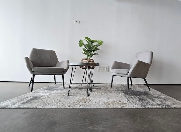 שני כורסאות אפורות ניצבות זו מול זו מעבר לשולחן עגול קטן ועליו עציץ, והכל מונח על שטיח במשרד מרוהט בסגנון מינימליסטי עם קירות לבנים ורצפת בטון.