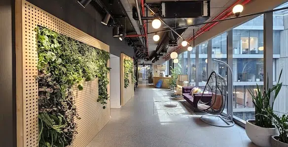 לאונג משרד גדול, קומה במגדל תוהא, 2800 מ״ר