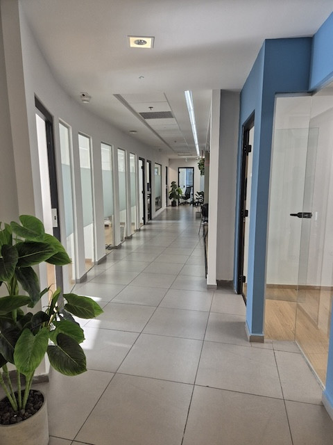 מסדרון משרדי מודרני עם דלתות סגורות משני הצדדים, קירות זכוכית, רצפות אריחים וכמה עציצים לאורך המסדרון — מושלם למי שמחפש משרד להשכרה באזור הבורסה רמת גן.