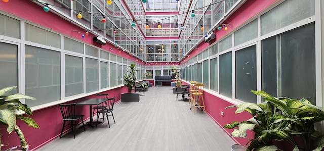 מסדרון פנימי מואר היטב במשרד בבית הורוד עם קירות ורודים, חלונות חלבית, אורות מחרוזת, עציצים, ושולחנות וכסאות שחורים המסודרים לאורך הקירות.