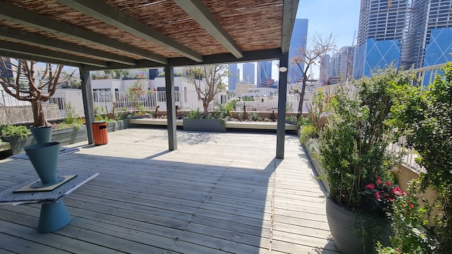 מרפסת גג מעץ עם עציצים וצל חלקי, השוכנת בין בנייני העיר ברחוב אבן גבירו בתל אביב, תחת שמיים בהירים — מושלמת למנוחה או ליהנות מהנוף מבניין להשכרה.